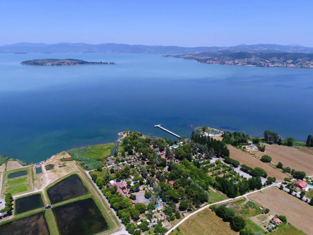 Trasimeno Glamping Resort 马焦内 外观 照片
